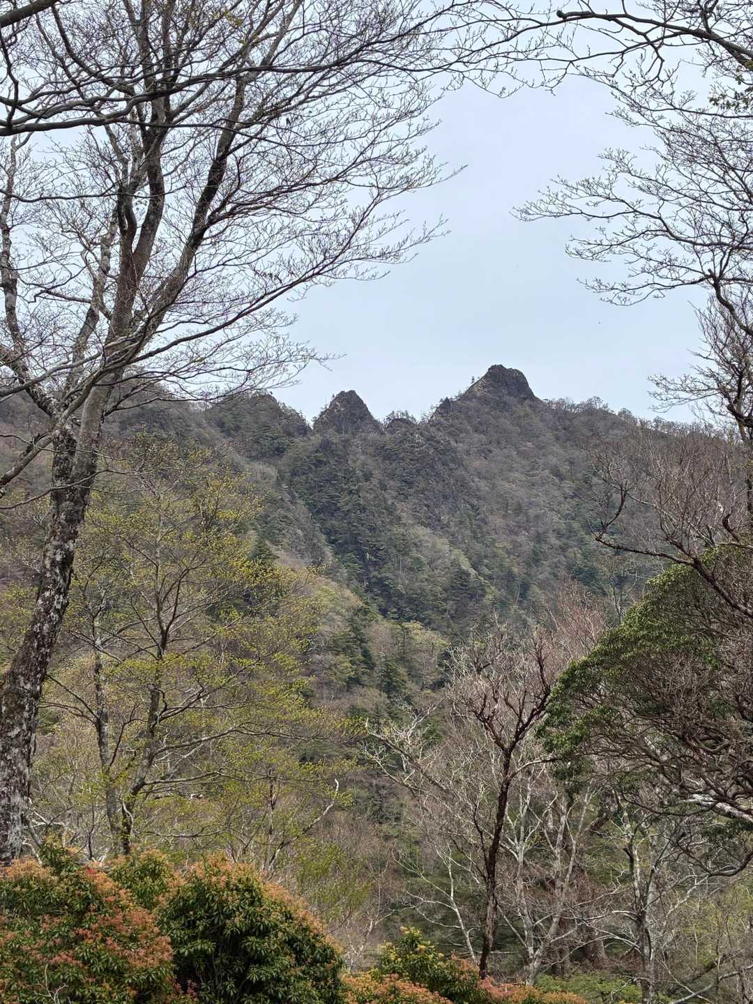 名残惜しい