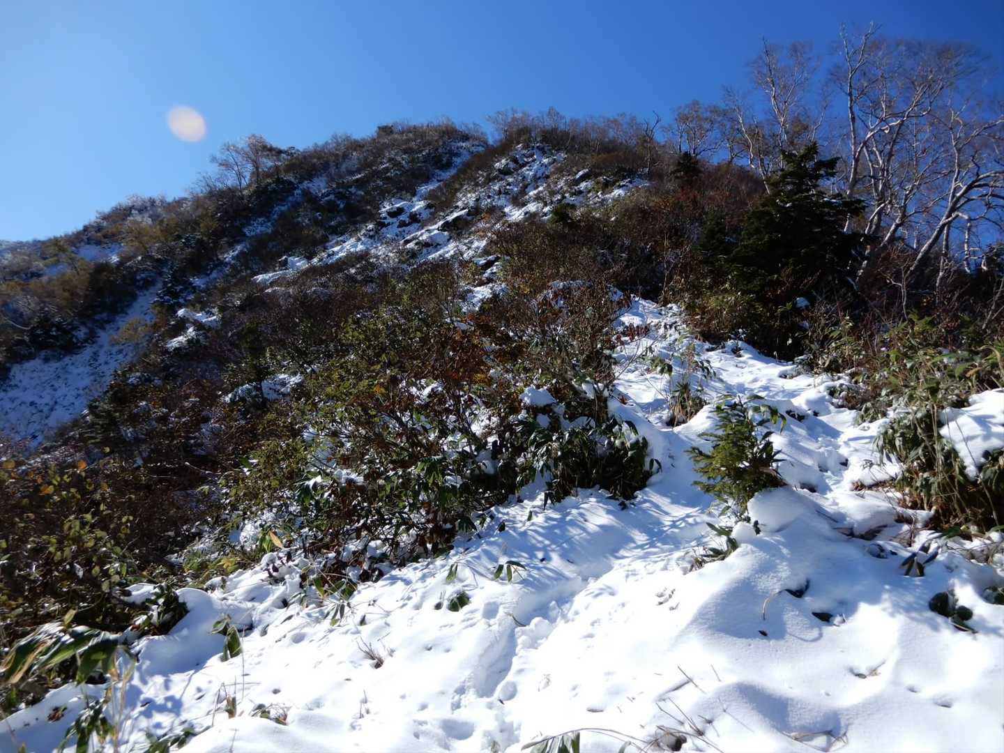 美女坂の状況
サラサラの雪で登り易いです
