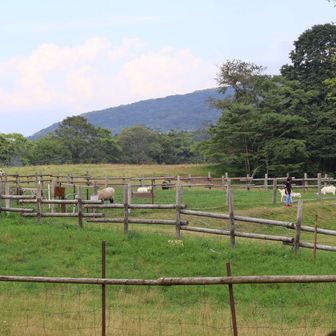 ヤギ🐐です。子供が楽しんでました☺️
とりあえず無事下山できました👍
