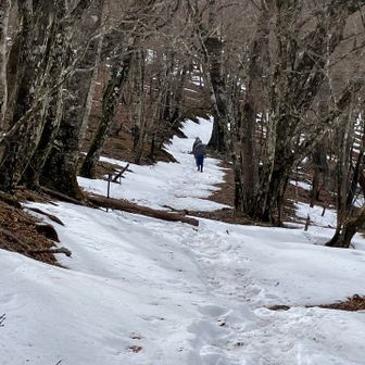 雪☃️の霧立越を行く登山者