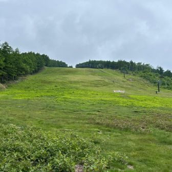 湯の丸山スキー場。