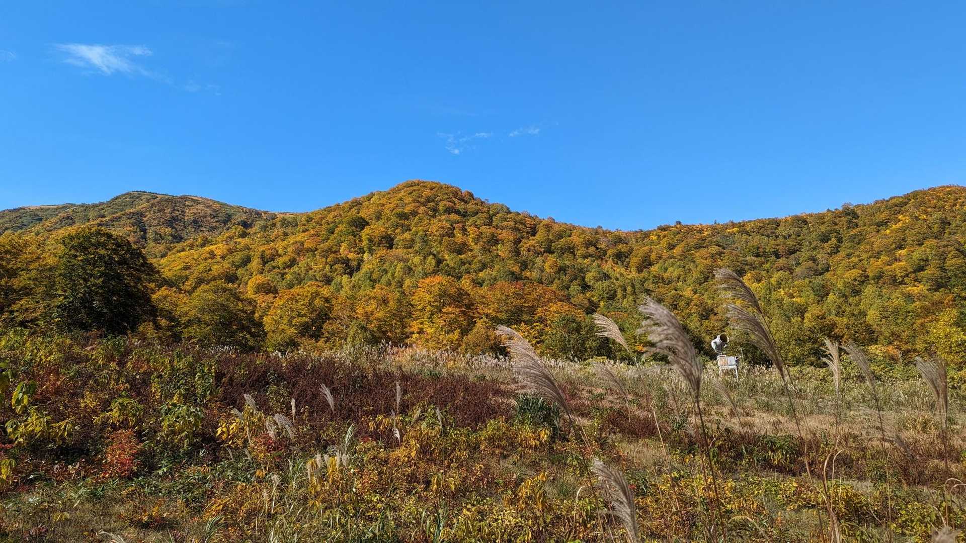 祓川登山口-山頂駅-神楽ヶ峰-苗場山 縦走コースの写真