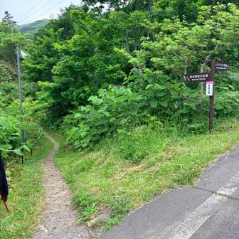 ここから登山道