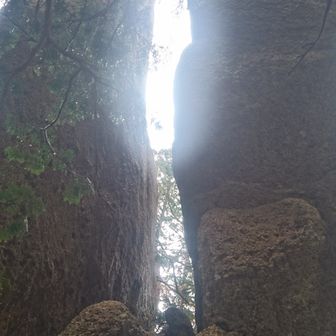 ひろちゃん&みぃちゃん