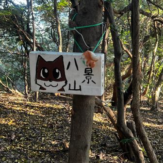 八景山　かわいい