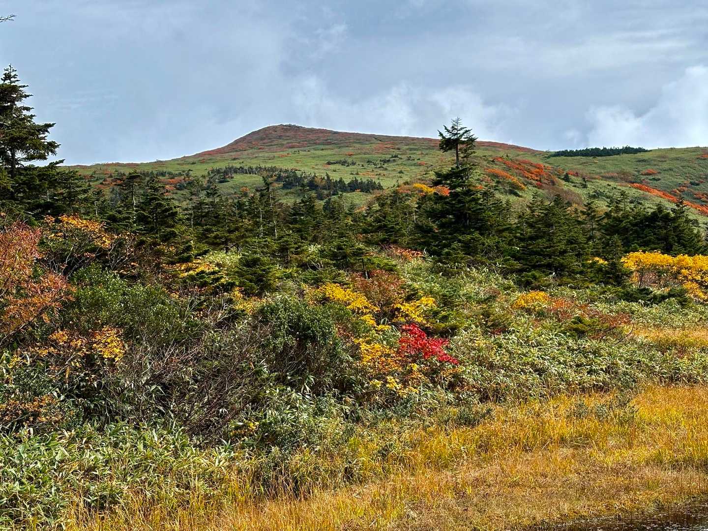 大釜温泉登山口-烏帽子岳 周回コースの写真