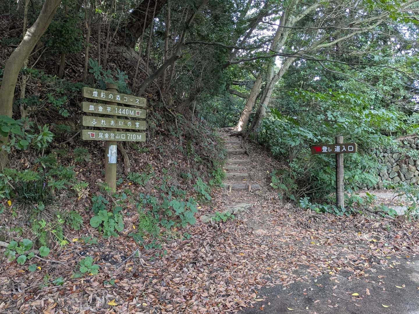 旧ふれあい家の登山口