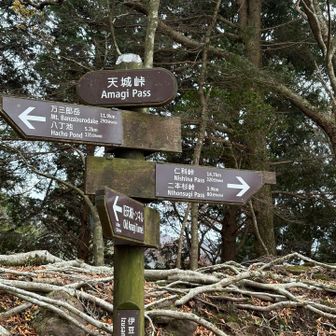 天城峠

天城トンネルができる前は、この峠越えが交通の難所だったそうです。