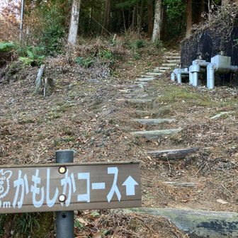 かもしかコースを行きますよ～