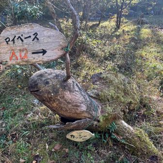 カッシー君🐢
次は看板通りの入口で行こうかな🎶