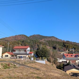 日和田山をながめつつ巾着田へ