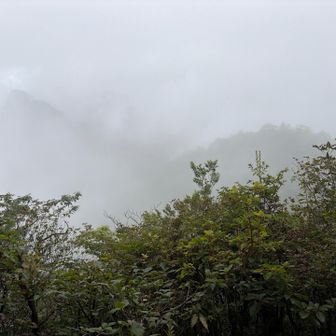 進行方向はガスだけど、しばらく待てば見えそうな感じ。ただ、見える前に下山を始めました