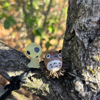 こだまとトトロ