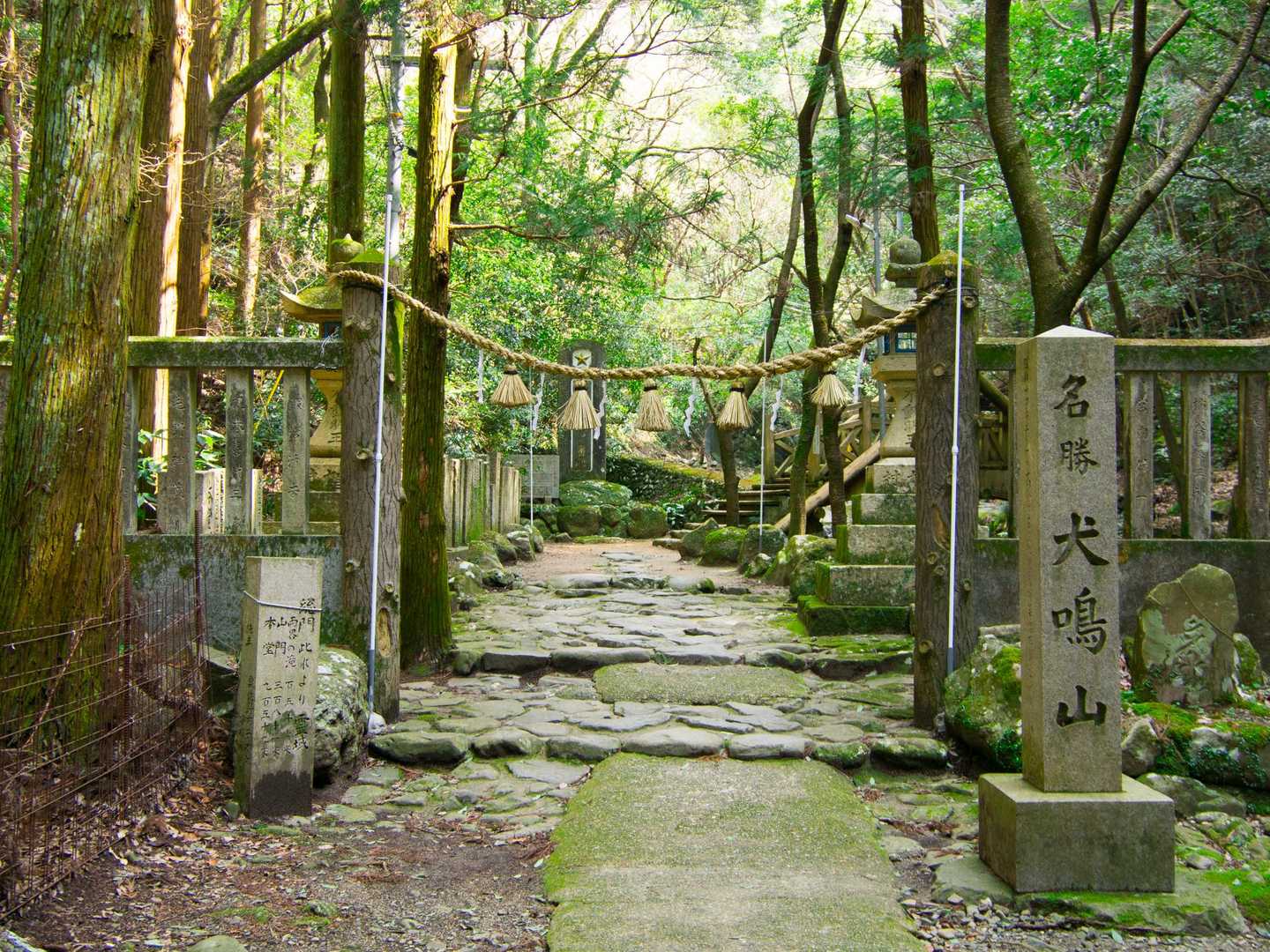 山のおもてなし｜和泉葛城山から犬鳴山へ紀泉高原縦走の写真