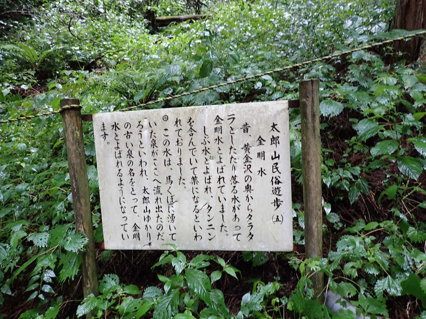 タンニンを含んでいるということは、表流水ですな。タウリン1000㎎含んでいれば元気が出るのですが。