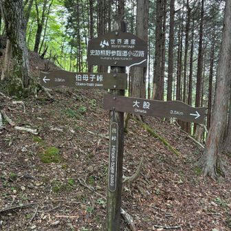 萱小屋では祭りの準備が行われていた。山の中にも祭りがある。羨ましい
一息ついて桧峠へ。着いたら着いたでまたしんどい。