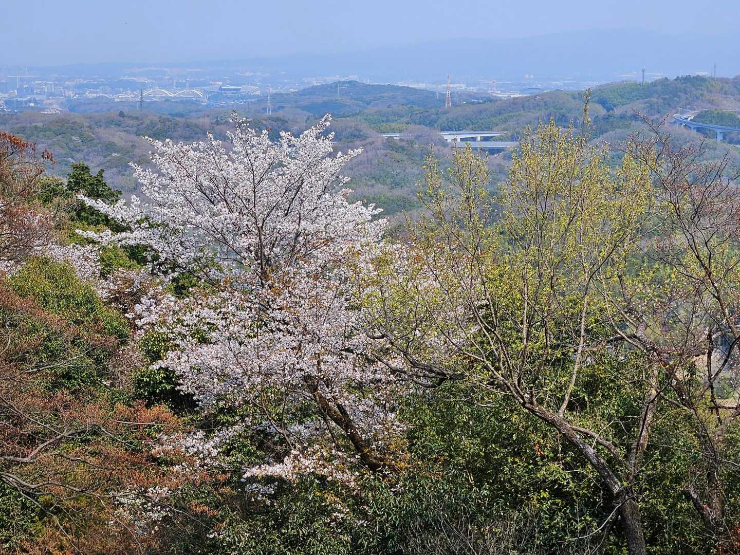 熊野神社-村積山 縦走コースの写真