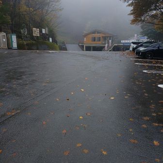 6時出発でしたが、雨で待機。
出発を遅らせ、予定を短縮するか、リフトがあるので9時迄待ってお気楽登山にしようかと思いましたが、小雨になったので出発します。

出発を遅らせたので、次郎何とかはキャンセルしました。
うぉー 🚶💨