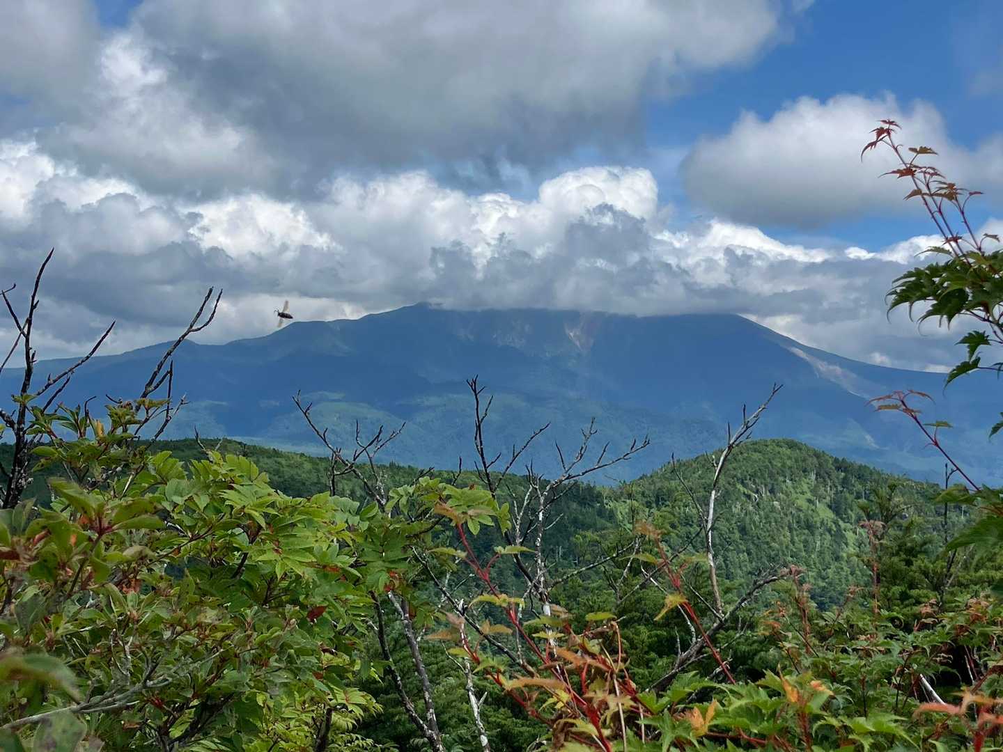 頭が☁️の中でした…
中腹から下はよく見えるのですが…残念😢

思えば、小秀山に登って御嶽山がまともに見えた試しがないです…😅