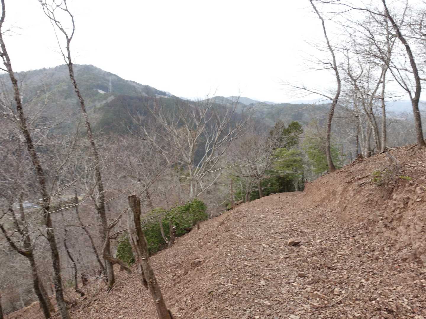 大向山 往復コースの写真
