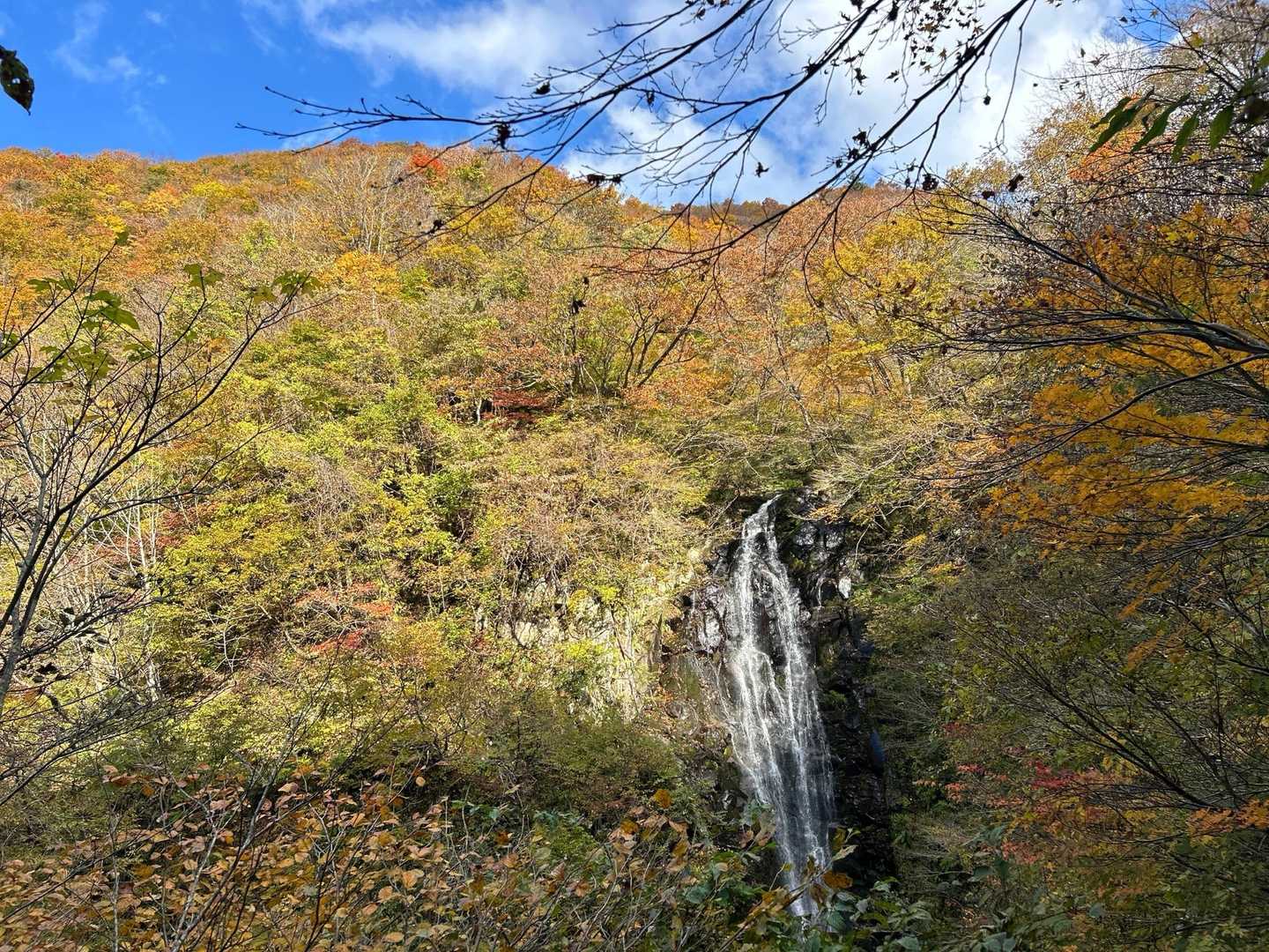 大滝と紅葉のコントラスト