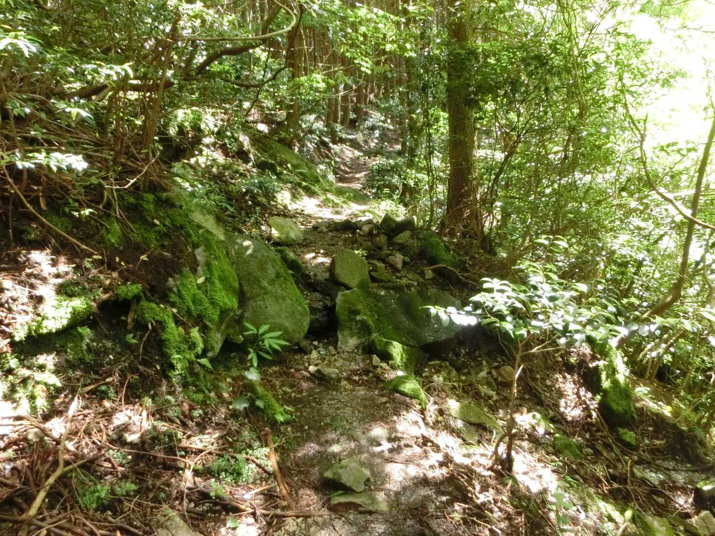谷の右岸の道