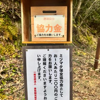 綺麗に整備していただき、ありがとうございます♡
ちゃんと協力金入れてきました👍