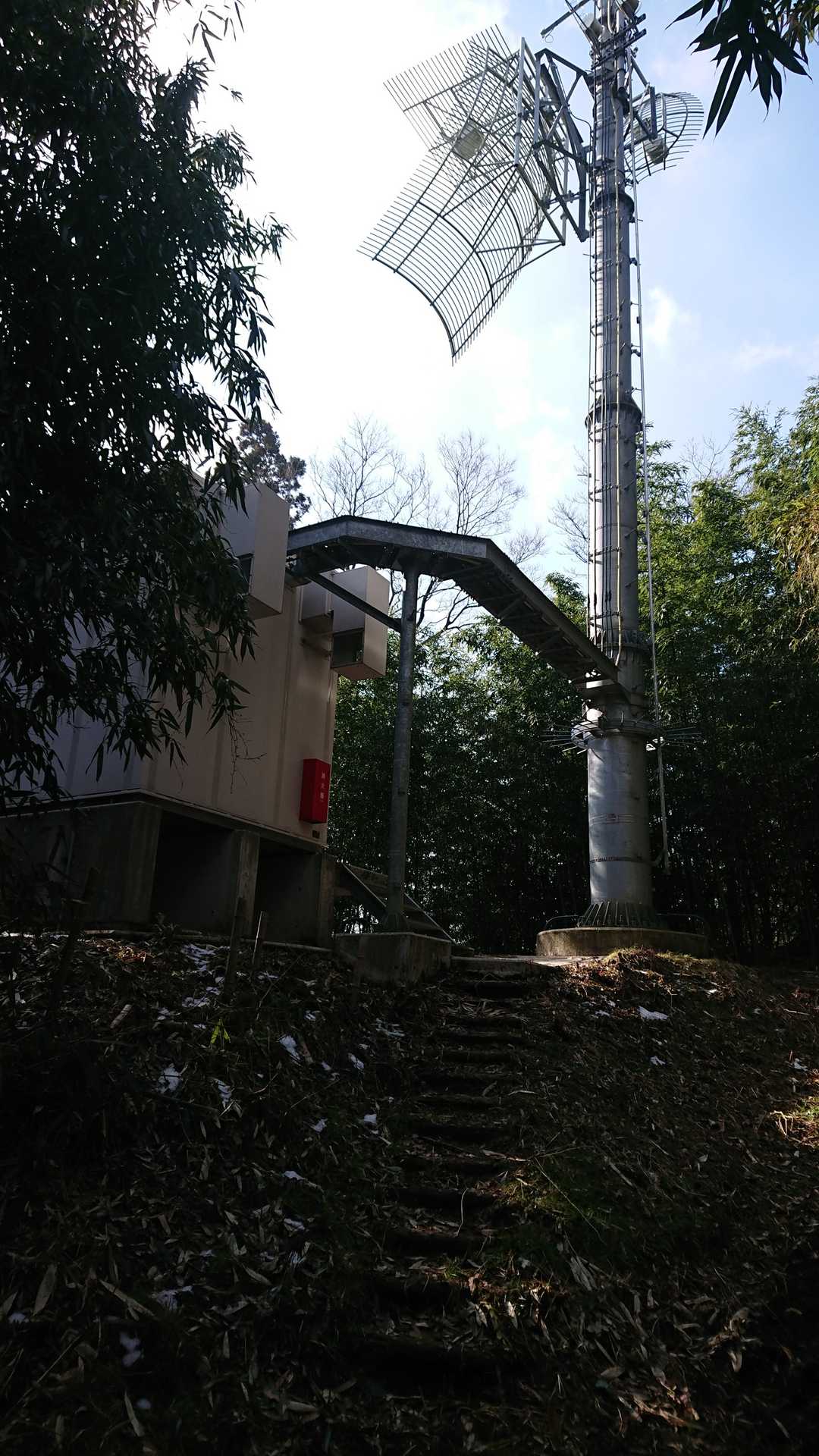 頂上
