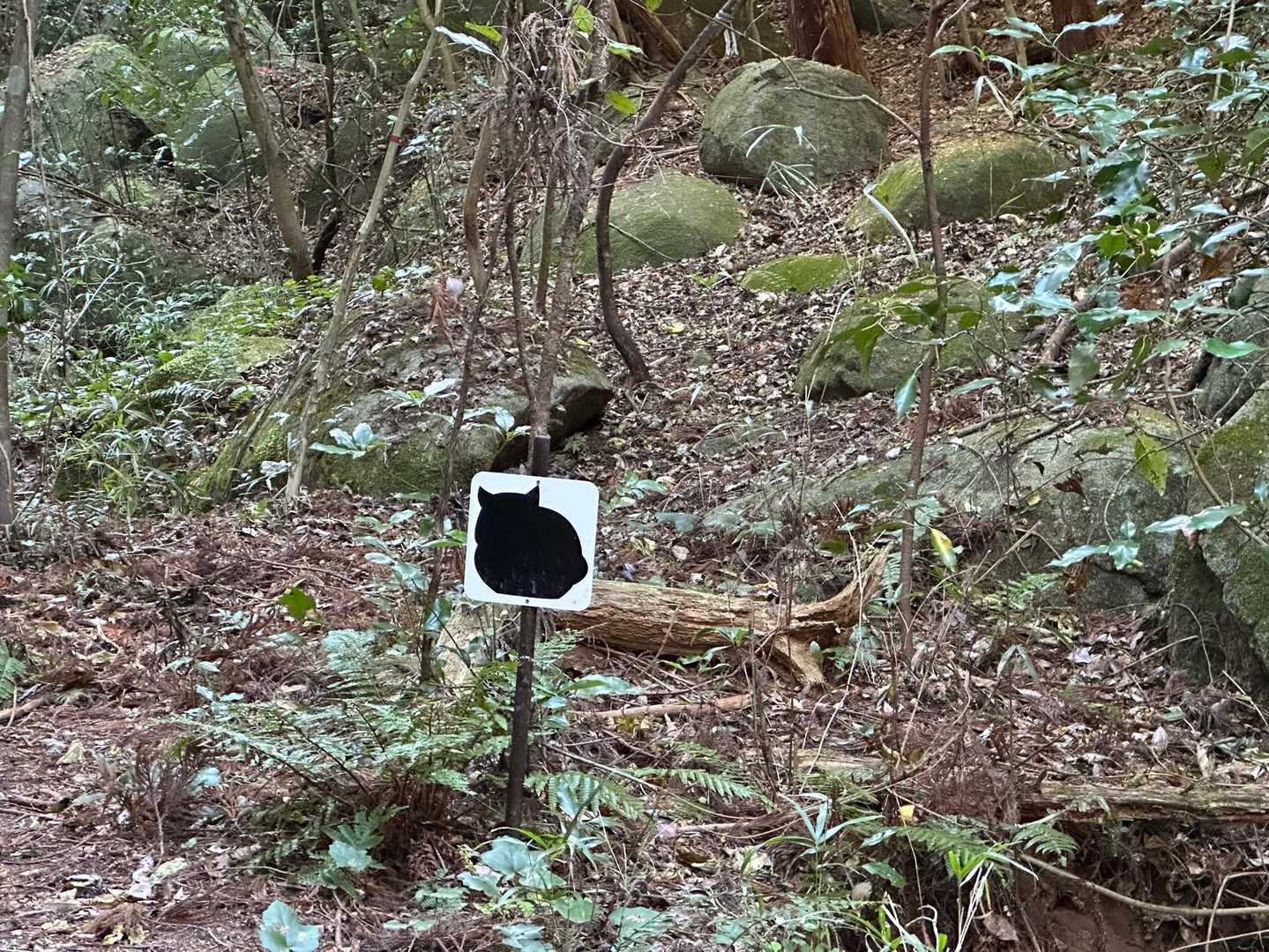 猫の看板方面に行きます