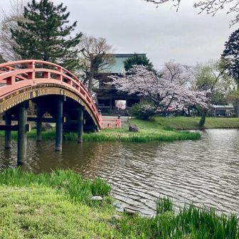金沢文庫駅すぐに立派な太鼓橋✨️

ピカピカの制服をきた息子さんとお母さんが橋の上で写真を撮ろうとしてました

👨🏻「ご一緒に撮りましょうか？」


👩🏻「いえいえいえいえ👋🏻
きょ…今日わたしキタナイ格好だから😵‍💫

息子だけお願いできます？」


👨🏻「…いや、それはお母さんが撮ってください🤣」

お母さん動揺しすぎ
可愛かった☺️