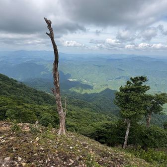冬は雪と霧氷。夏はこんな感じ