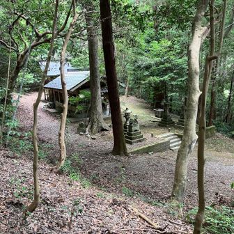 だいぶ下って来た、須賀神社です。