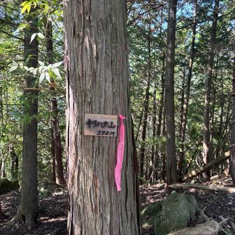 キリハタ山登頂
ここから下るのも大変だった