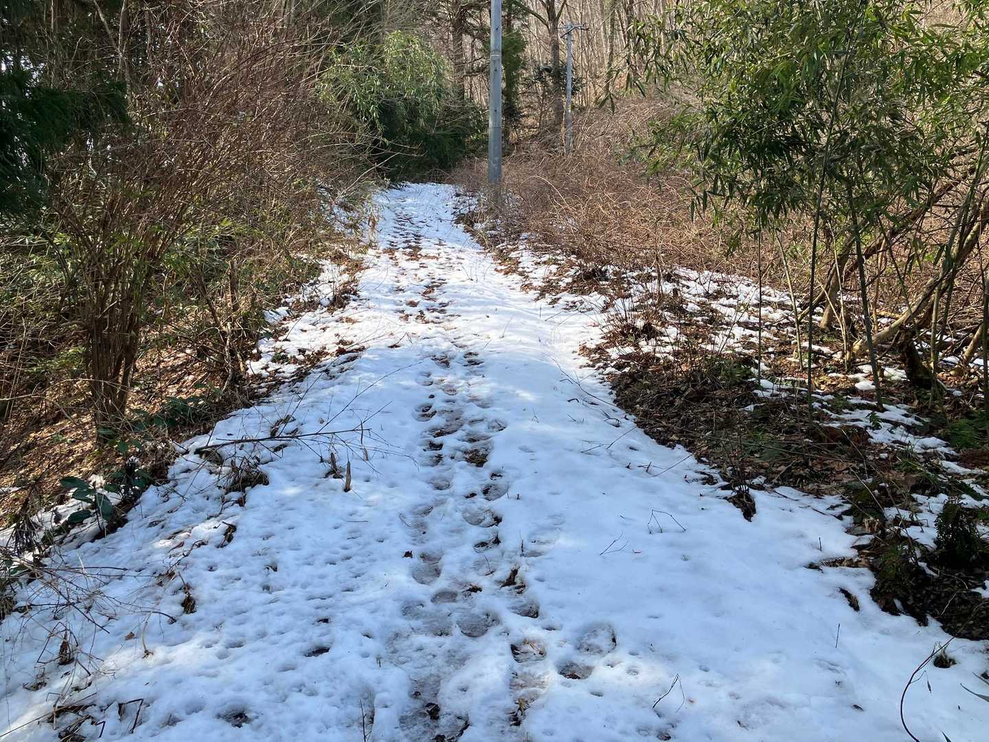 日陰は雪道🥾