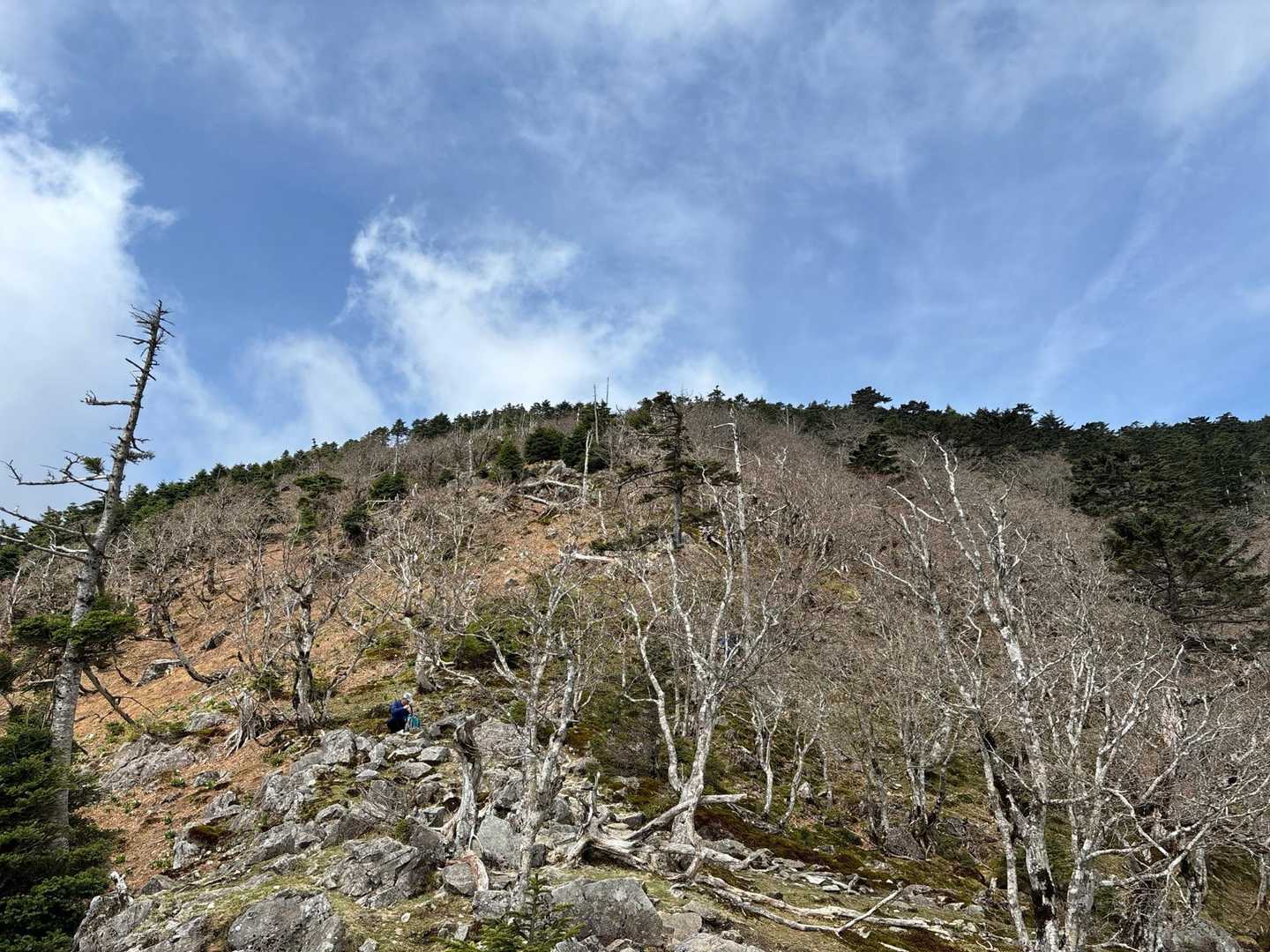 弥山登山口-弁天ノ森-聖宝ノ宿跡-弥山-八経ヶ岳-細尾山 往復コースの写真