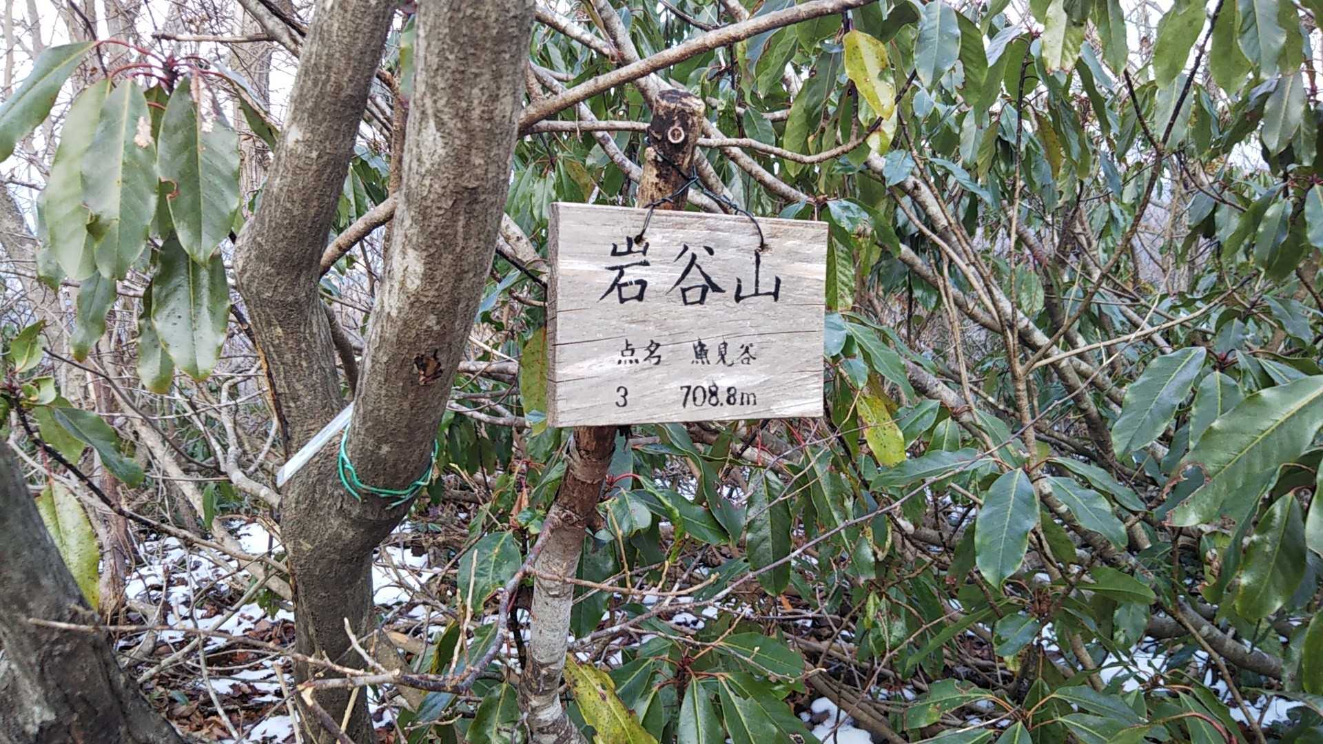 しばらく急登を進むと岩谷山に登頂です❗️