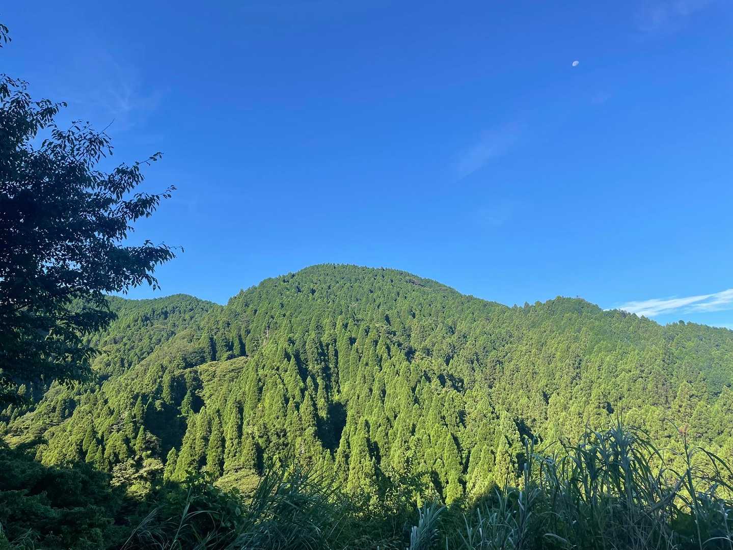 水越峠バス停-紅葉谷-金剛山 周回コースの写真