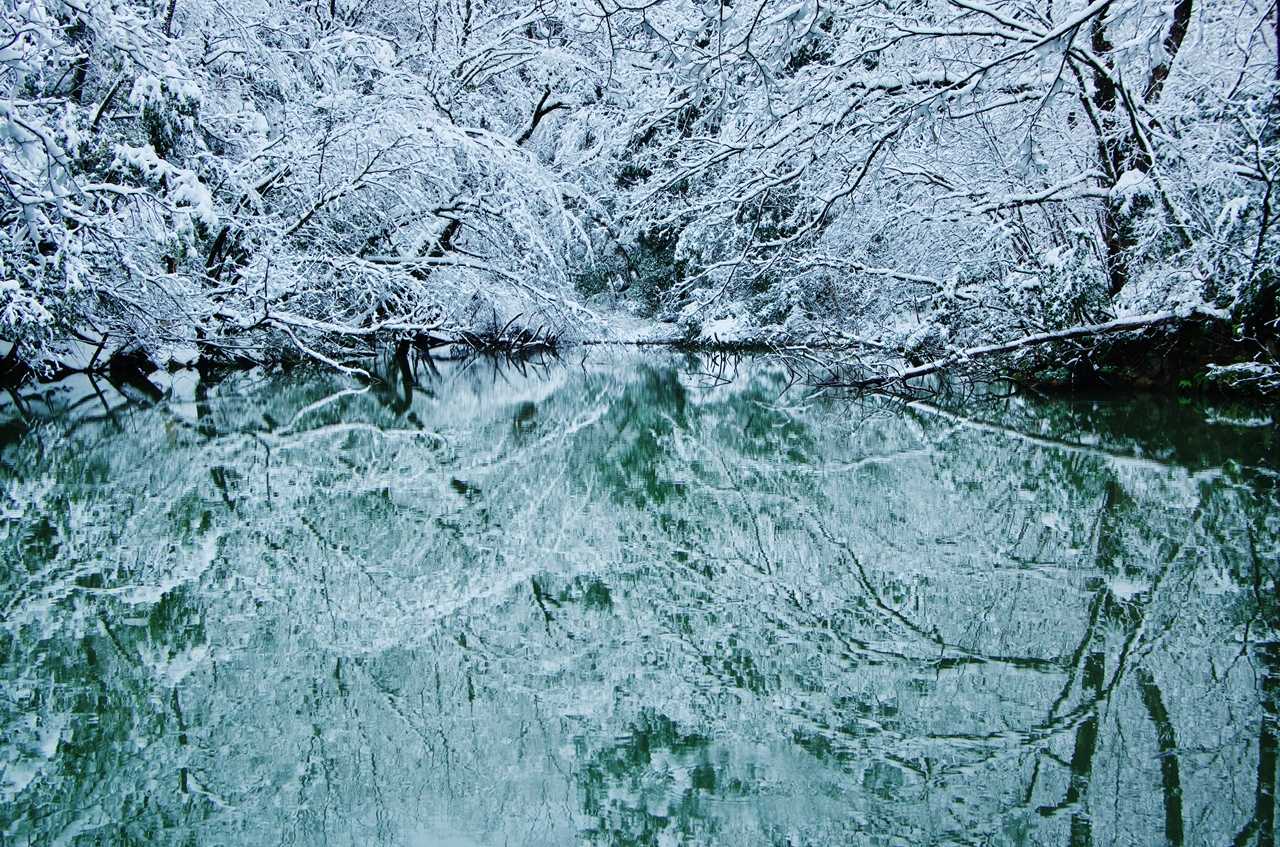 水面に映る雪景色がきれいでした