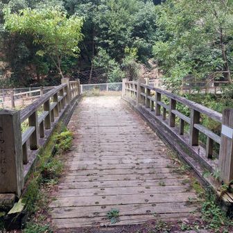 きらら橋を渡りました🎵
きらら橋～雲母坂(きららさか)は京都側から延暦寺への主要街道でした😊