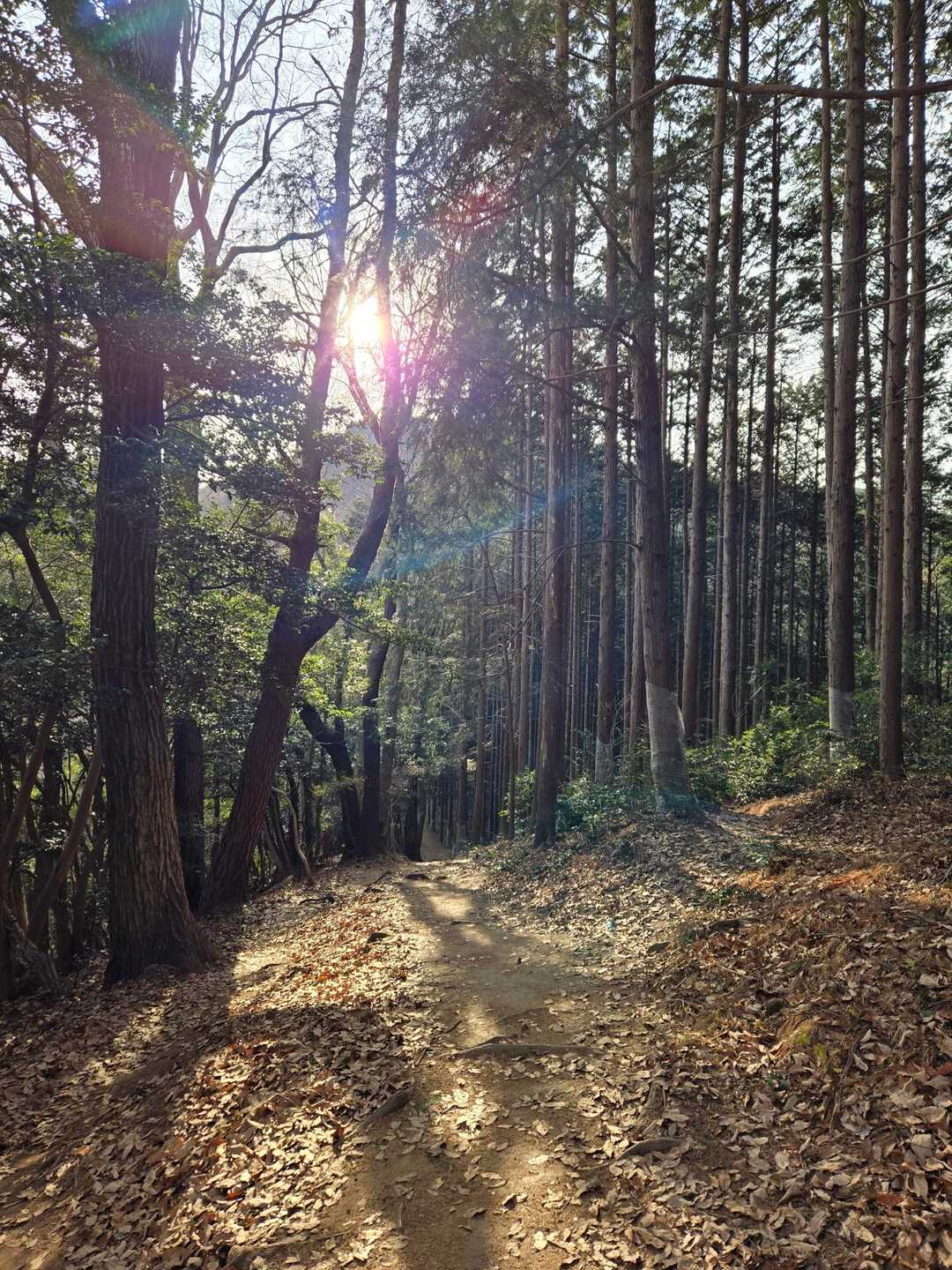気持ちよく下山👣