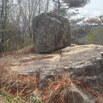 木のトンネルを抜けると、兜岩