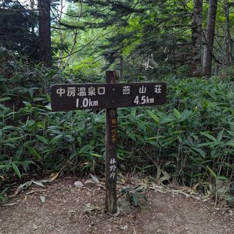 第一ベンチ(以降、興味を失う)