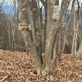 グレーピーク好きのあろりんさんのために石砂山(西峰)に寄り道🚶‍➡️