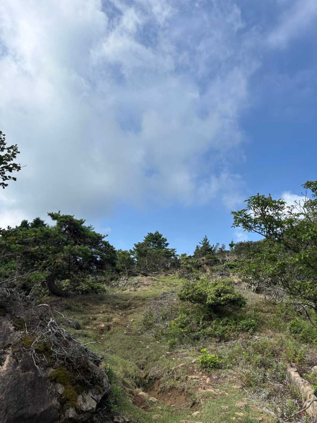 鳩ヶ峰-大江山 往復コースの写真