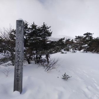 はい、本当の空が見たいのです
