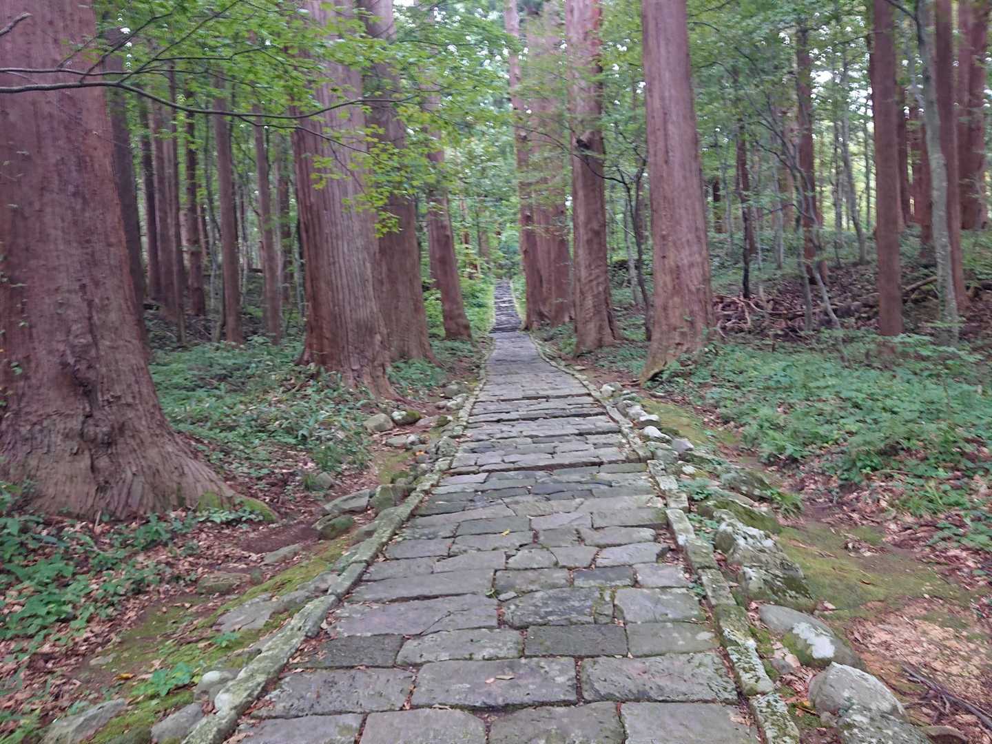 ちょっと平坦な道を進み