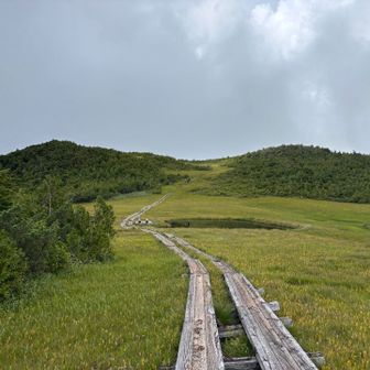 池塘へ