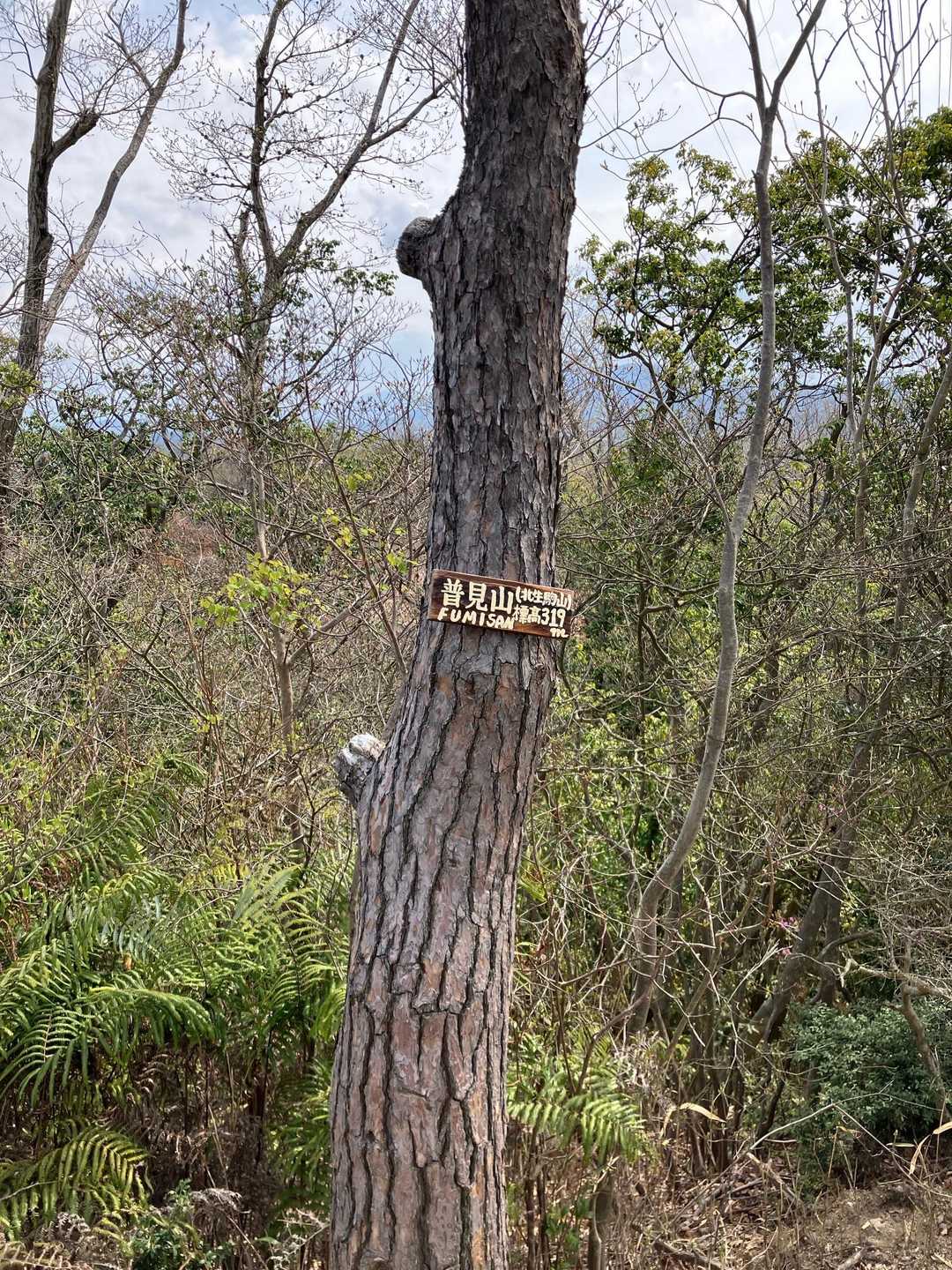 普見山(北生駒山)