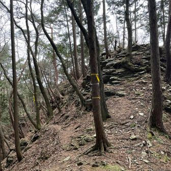 尾根に出るまではかなりの急登でキツめです