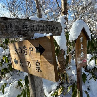 展望広場に行ってみる😄